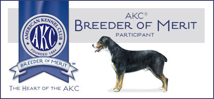 Official Banner for AKC Breeder of Merit status