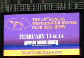 Picture of the Westminster markee