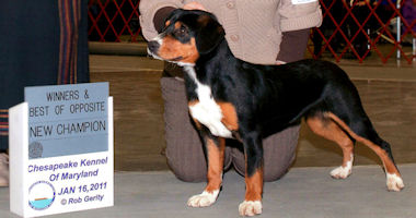 #image4 small portfolio4