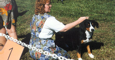 #image4 small portfolio4