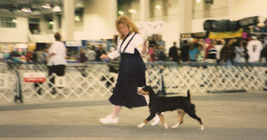 #image3 small portfolio3