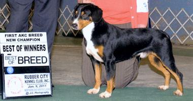 #image4 small portfolio4