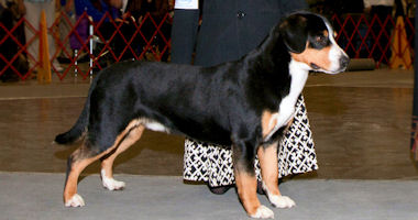 #image4 small portfolio4