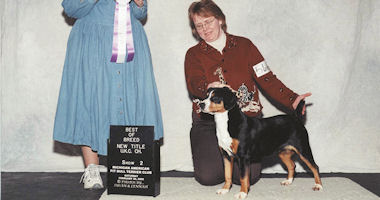 #image4 small portfolio4